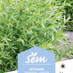 ESTRAGON