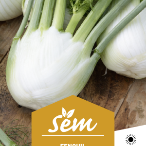 FENOUIL