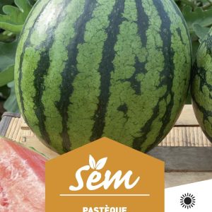 PASTEQUE