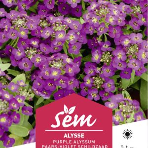 ALYSSE