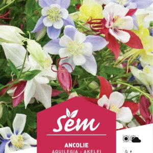 ANCOLIE