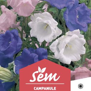 CAMPANULE