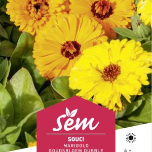 SOUCIS