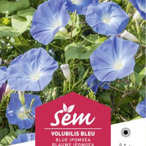 VOLUBILIS